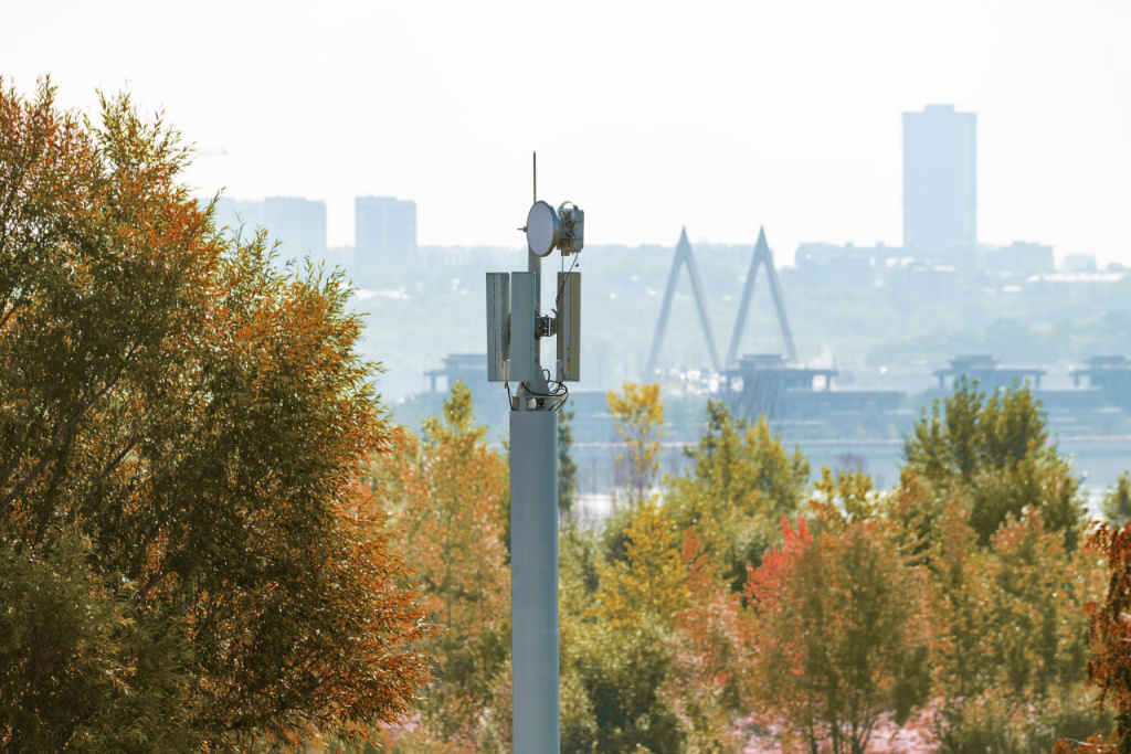 осень и БС.jpg